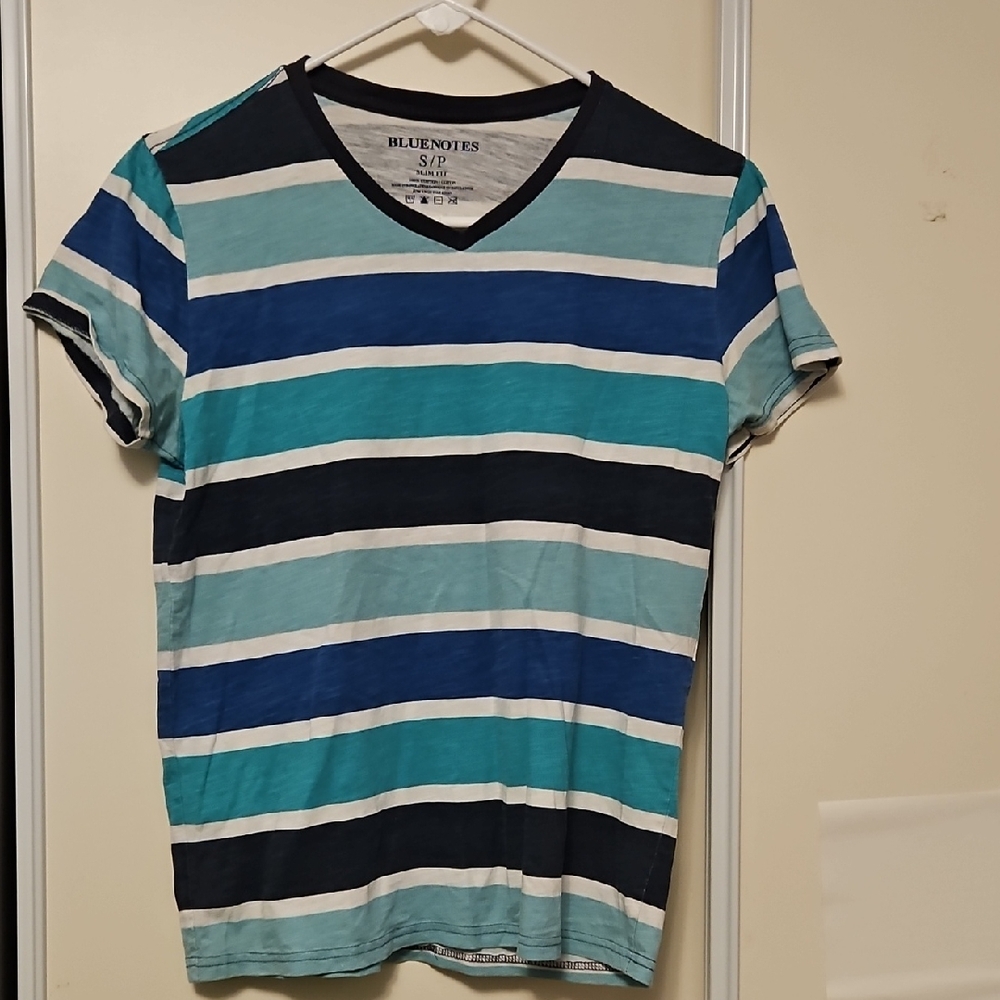 Bluenotes Men's Multicolor Striped V-Neck Tee